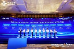 基于“多模共生”的元景模子家族和“更懂行业